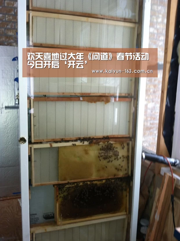 开云体育下载